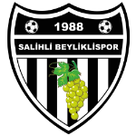 Salihli Beyliklispor logo