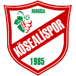 Kösealispor logo