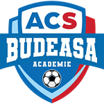 ACS Budeasa Academie logo