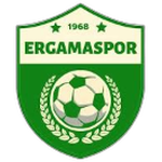 Ergamaspor logo