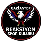 Reaksiyon Spor Kültür Sanat logo
