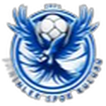 1921 Şahinlerspor logo