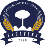Pedavena Calcio logo