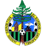 C.D. El Espinar-San Rafael logo