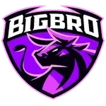 BIGBRO