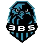 3BS logo