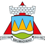 Seleção de Brumadinho U13 logo