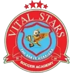 Vital Stars Academy logo