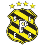 Penharol EC-DF U17 logo
