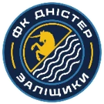 FC Dnister Zalishchyky logo