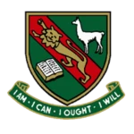San Silvestre M40 logo