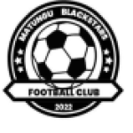 Matungu Black Stars FC logo