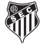 Sarzedo EC logo