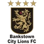 Bankstown City FC U23 logo