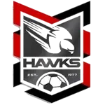 Holland Park Hawks U23 logo