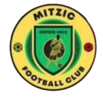 Mitzic FC logo