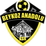 Beykoz Anadolu Spor A.Ş. logo