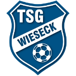 TSG Wieseck U15 logo