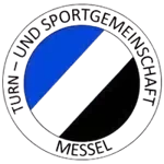TSG Messel U13 logo