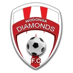 Wodonga Diamonds FC logo