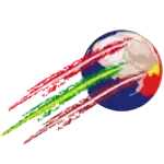 FC Bursins-Rolle-Perroy IV logo
