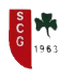SC Gräselberg II logo
