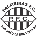 Palmeiras FC U13 logo