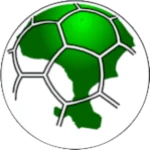 Vieux Fort-South logo
