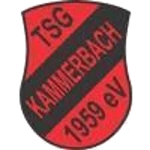 SG Kammerbach/​Berkatal III