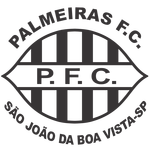 Palmeiras FC U15 logo