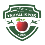 Yahyalıspor
