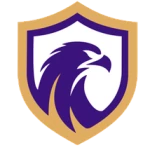 Falcon-SE U15 logo