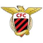 Newcastle Chemfica logo