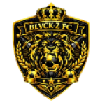 Black Zone logo