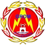 Grom Poczesna U12 logo