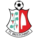 TJ Družstevník Brestovany logo