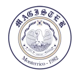 Magister M40 logo