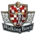 Walking Boys