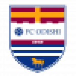 FC Odishi 1919 U17 logo