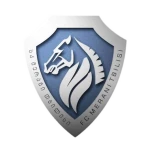 Merani Tbilisi U17 logo