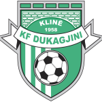 KFF Dukagjini logo