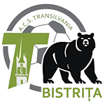 ACS Transilvania Bistrița U17 logo