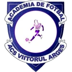 ACS Viitorul Argeș U12