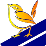 Canarinho BA U15 logo