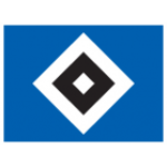 Hamburger SV IV logo