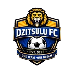 Dzitsulu FC logo