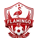 Flamingo FC logo