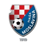 HNŠK Moslavina U19 logo