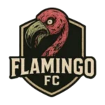 Flamingo FC logo