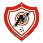 N Nine logo